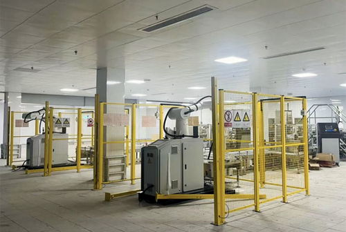 全球蛋業巨頭資陽雁江筑巢 西南最大智能蛋工廠串起全產業鏈