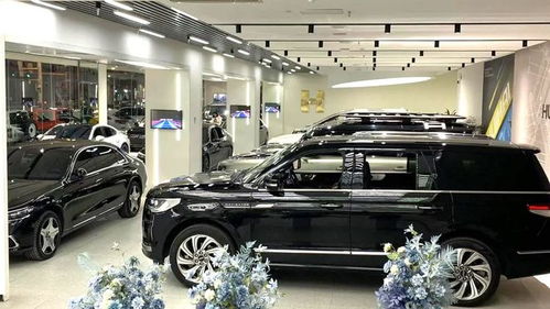 國(guó)內(nèi)二手車行業(yè)知名品牌概覽 汽車租賃與收購(gòu)市場(chǎng)解析